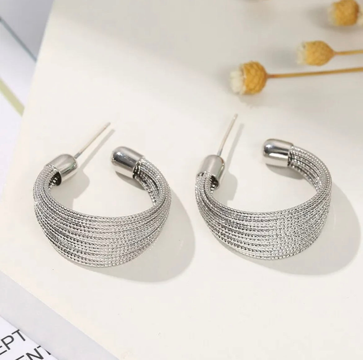 Veronica Hoops